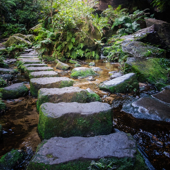 BlueMountains-3_thumb.webp